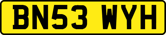 BN53WYH