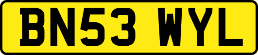 BN53WYL