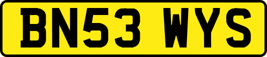 BN53WYS