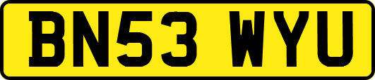 BN53WYU