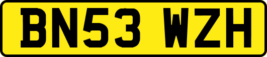 BN53WZH