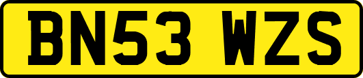 BN53WZS