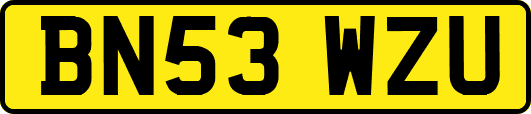 BN53WZU