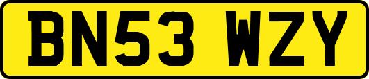 BN53WZY