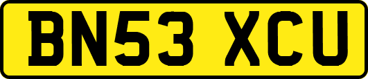 BN53XCU