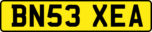 BN53XEA