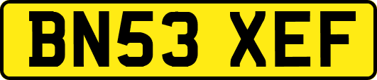 BN53XEF