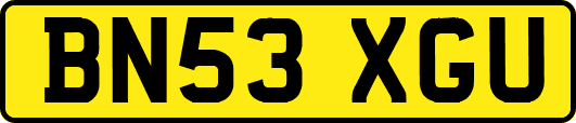 BN53XGU