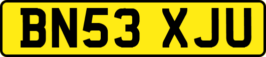 BN53XJU