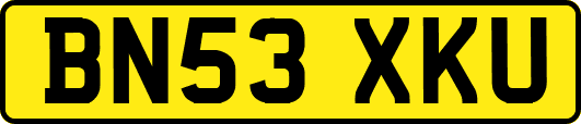 BN53XKU