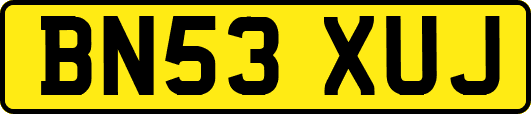 BN53XUJ