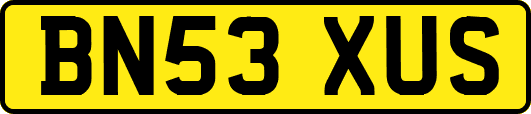 BN53XUS