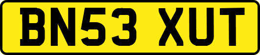 BN53XUT