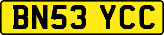 BN53YCC