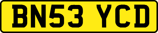 BN53YCD