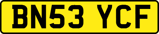 BN53YCF