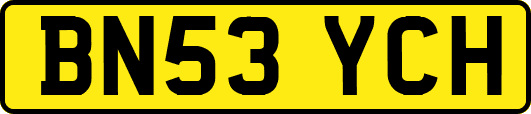 BN53YCH