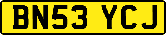 BN53YCJ