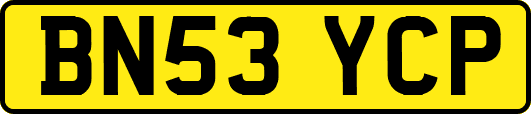 BN53YCP