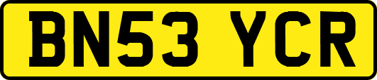 BN53YCR