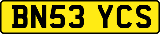 BN53YCS