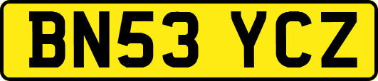 BN53YCZ