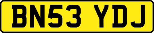 BN53YDJ