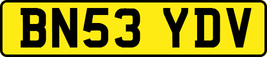 BN53YDV
