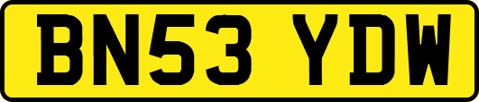 BN53YDW