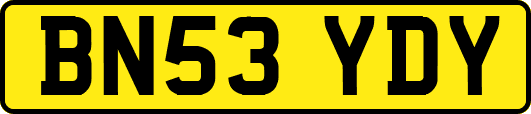 BN53YDY