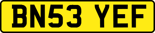 BN53YEF