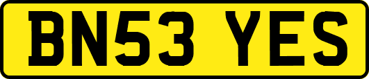BN53YES