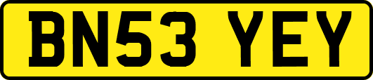 BN53YEY
