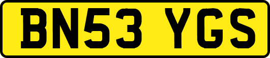 BN53YGS