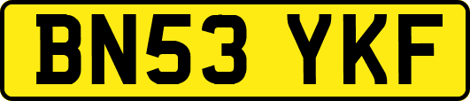 BN53YKF