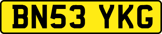 BN53YKG