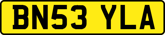 BN53YLA