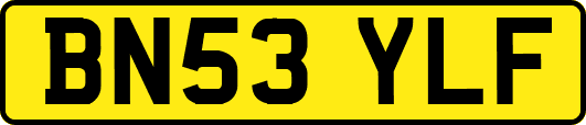BN53YLF