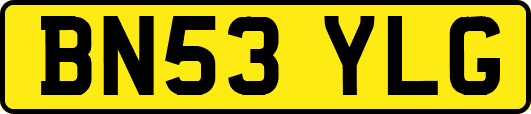 BN53YLG
