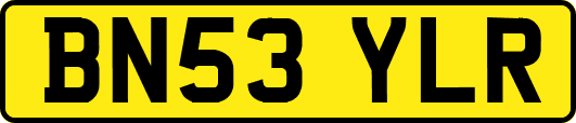 BN53YLR
