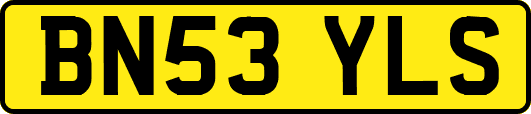 BN53YLS