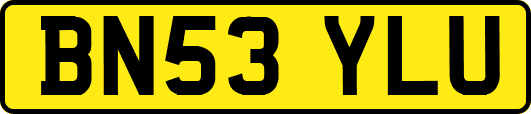 BN53YLU