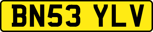 BN53YLV