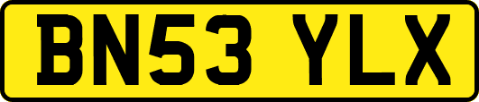 BN53YLX