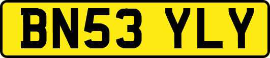 BN53YLY