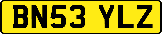 BN53YLZ