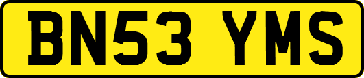 BN53YMS