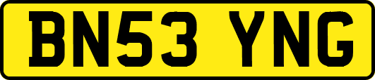 BN53YNG