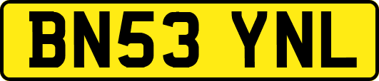 BN53YNL