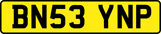 BN53YNP